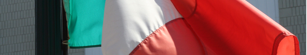 flag header